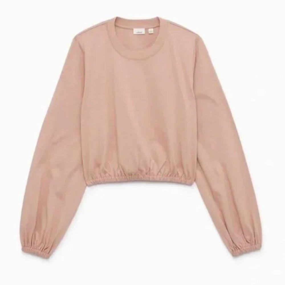 Aritzia Wilfred top